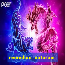 remedios naturais para diabetes